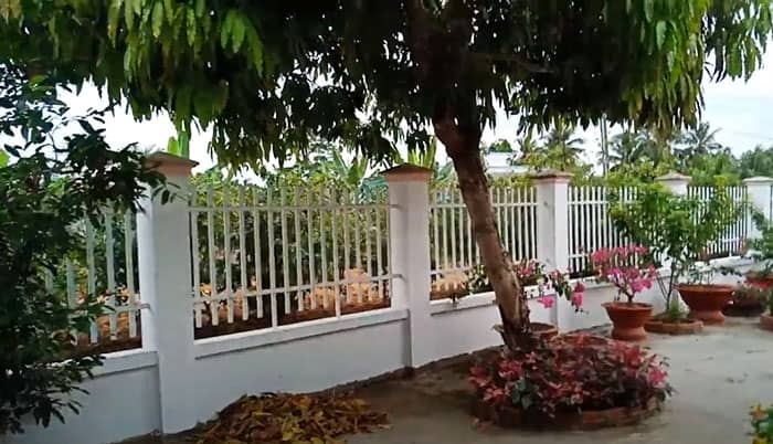 Hàng rào sắt màu trắng vườn cây ăn quả đẹp