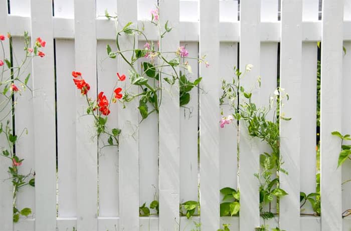 Mẫu hàng rào nhôm màu trắng sứ đẹp