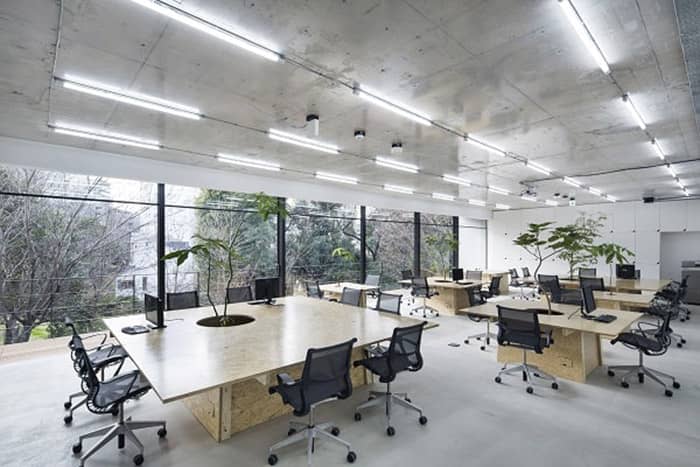 Những ý tưởng trang trí văn phòng làm việc độc đáo khác lạ gần gũi thiên nhiên
